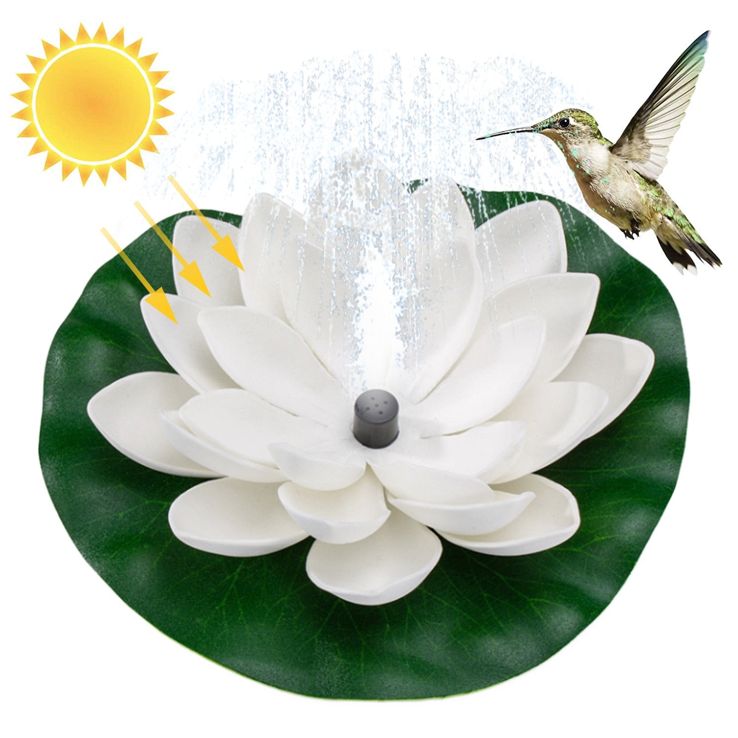 Zen Garden - Solar Fountain Bird Bath- Lotus Waterscape Garden - Personal Hour for Yoga and Meditations 