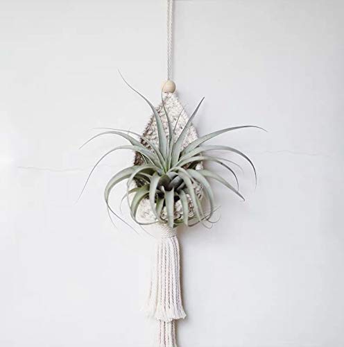 Zen Decor Ideas - BOHO Style  - 2 Pack Macrame Plant Hangers - Personal Hour for Yoga and Meditations 