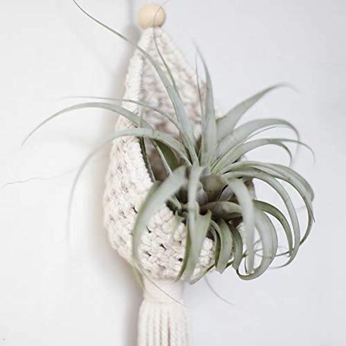 Zen Decor Ideas - BOHO Style  - 2 Pack Macrame Plant Hangers - Personal Hour for Yoga and Meditations 