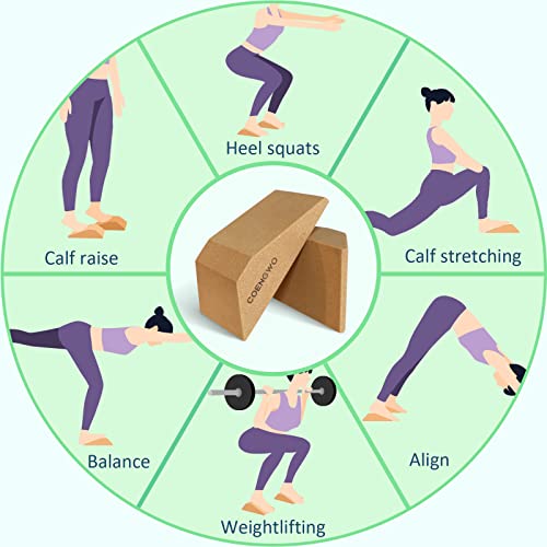 Cork Squat Wedge Yoga Block - Pack of 2 - Personal Hour for Yoga and Meditations 