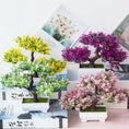 Load image into Gallery viewer, Zen Decor Ideas - Bonsai Small Tree Pot Fake Plant Flowers - Personal Hour for Yoga and Meditations 
