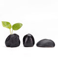 Load image into Gallery viewer, Zen Decor - Creative Black Small Stone Flower - Personal Hour for Yoga and Meditations 
