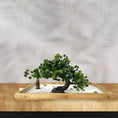Load image into Gallery viewer, Chinese Zen Garden Kit for Desk Office Table - Mini Zen Sand Garden Kit for Meditation Create Unique Calming Zen Garden Kit Decor - Personal Hour for Yoga and Meditations 

