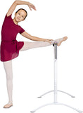 Load image into Gallery viewer, Portable Training Barre - Freestanding Adjustable - Personal Hour for Yoga and Meditations 
